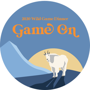 Sun Valley Ski Education Foundation Auction - logo